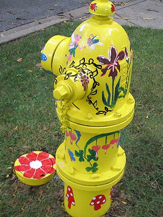 131 S Summit - Dragonfly and Friends (3)